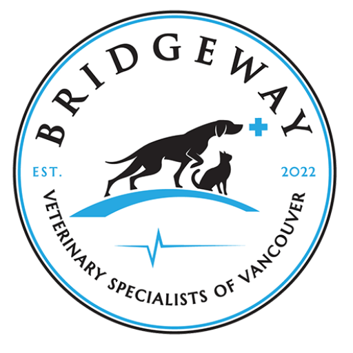 Bridgeway Veterinary Specialists